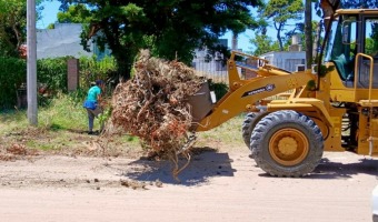 CONTIN�AN LOS OPERATIVOS DE LIMPIEZA Y EMBELLECIMIENTO EN DISTINTOS BARRIOS DE LA CIUDAD